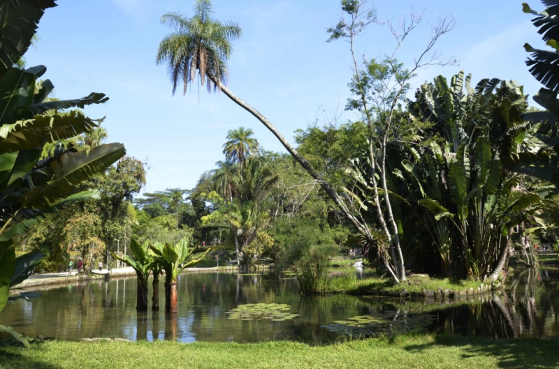 Jardim Botânico