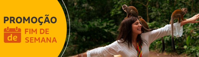 Promoções de Passagens Aéreas de Fim de Semana na Gol