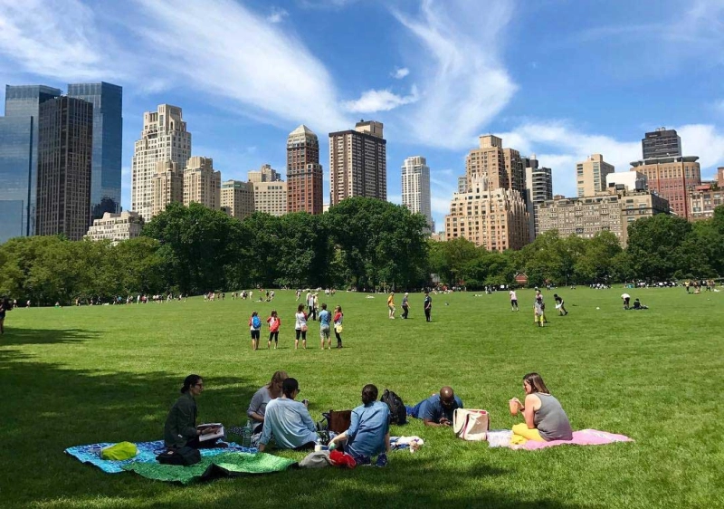 Explorando Nova York: Os Melhores Passeios e Hospedagens