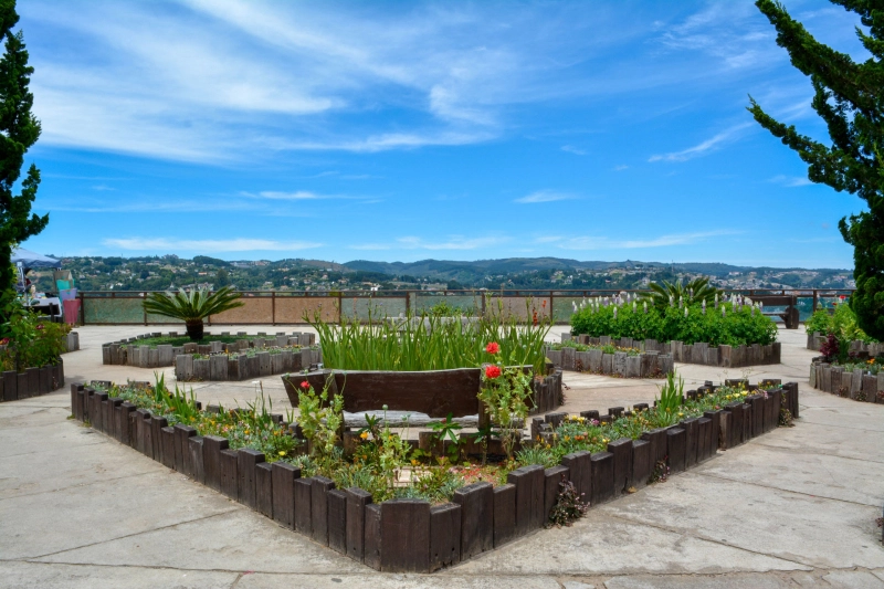 Campos do Jordão: Descubra a Suíça Brasileira!