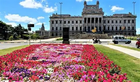 Descubra Montevidéu: Os Melhores Passeios na Capital e Além